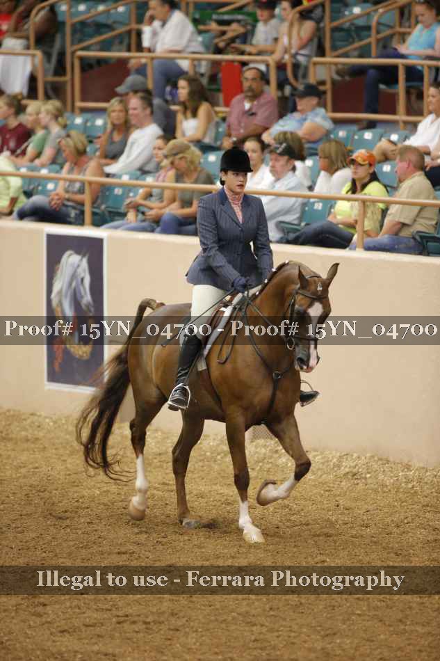Proof 15YN_04700