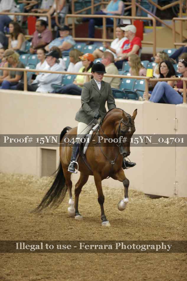 Proof 15YN_04701
