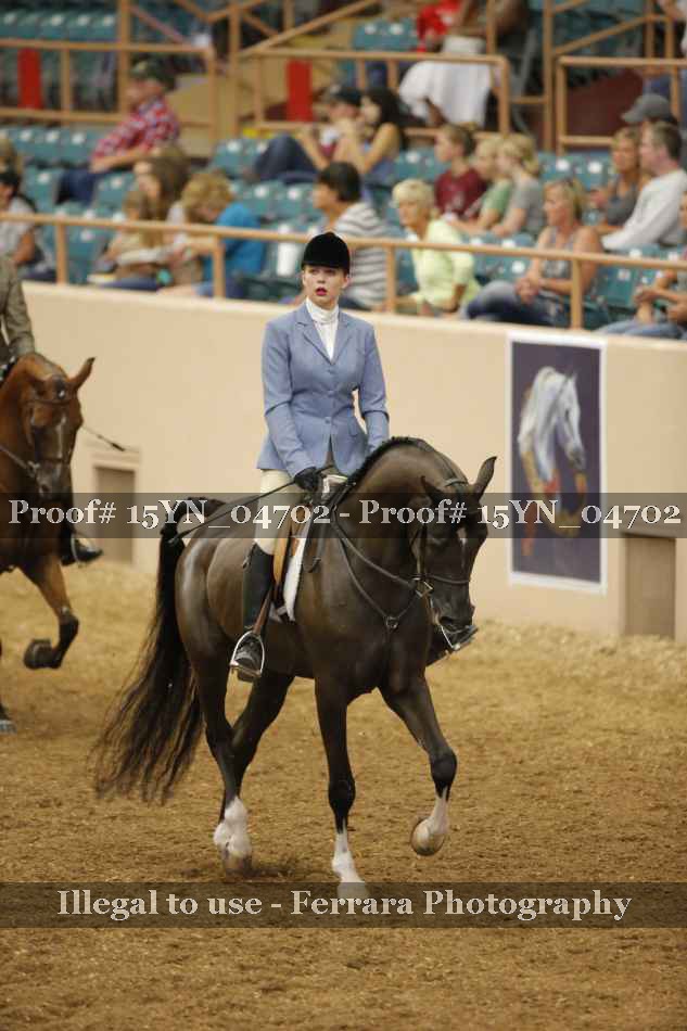 Proof 15YN_04702