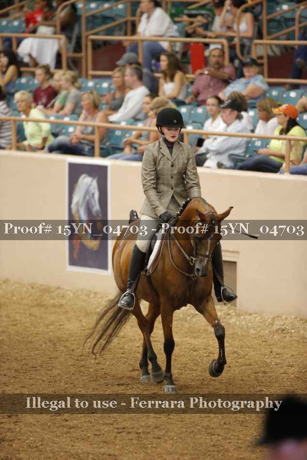 Proof 15YN_04703