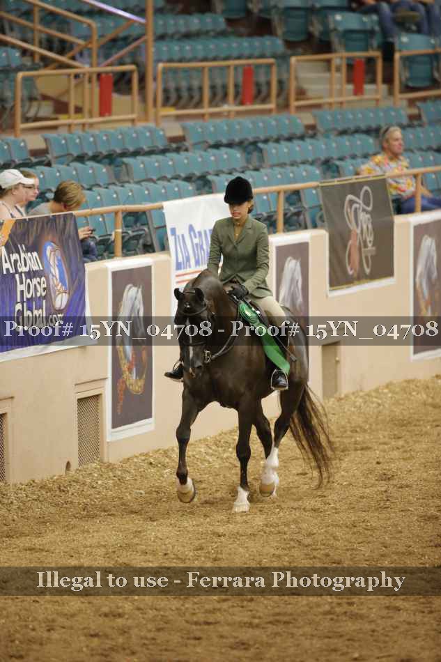 Proof 15YN_04708