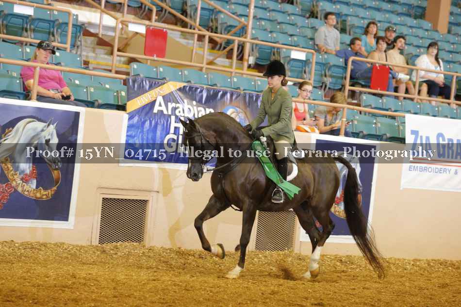 Proof 15YN_04715