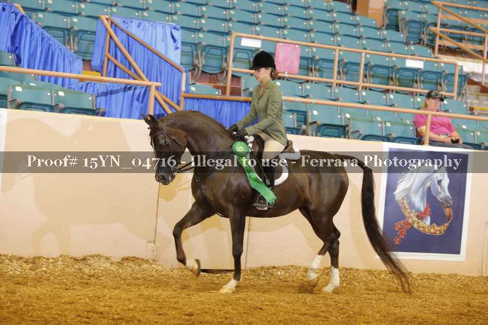 Proof 15YN_04716