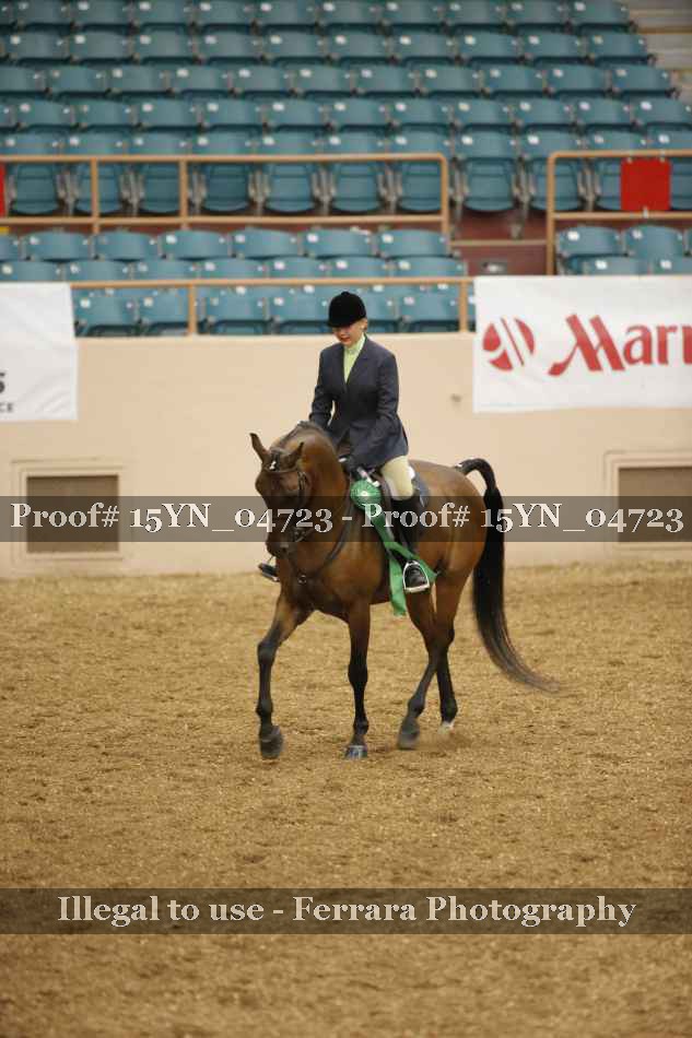 Proof 15YN_04723