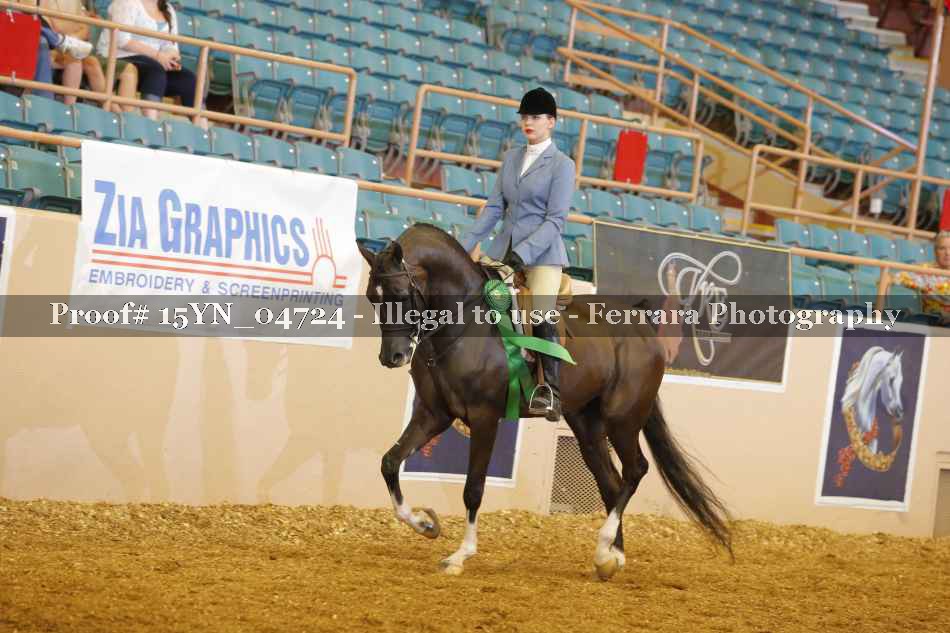Proof 15YN_04724