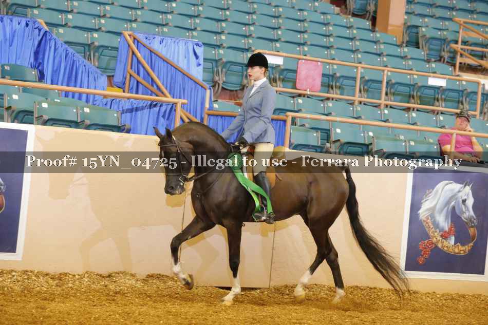 Proof 15YN_04725