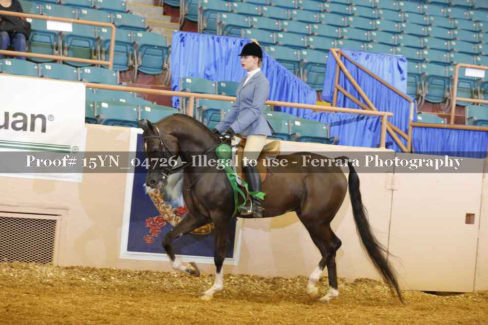 Proof 15YN_04726