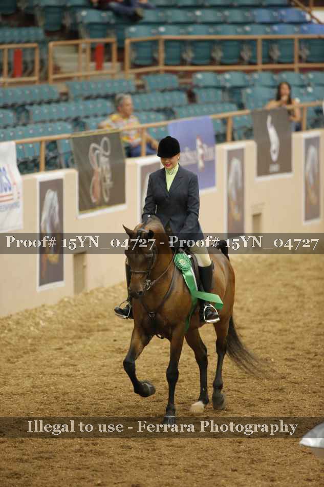 Proof 15YN_04727