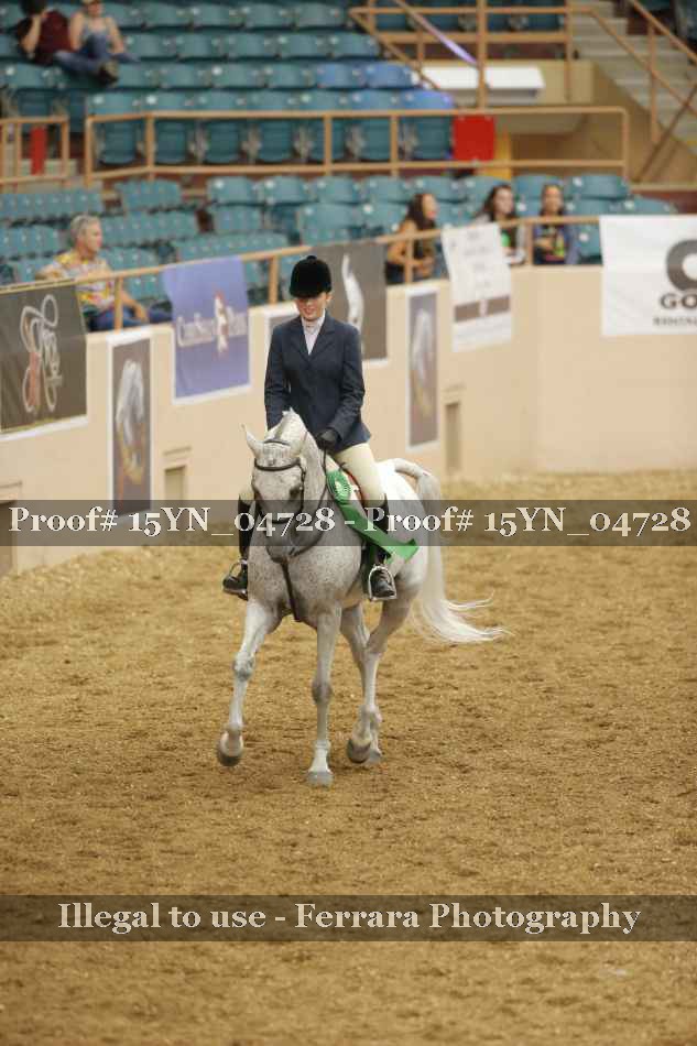 Proof 15YN_04728