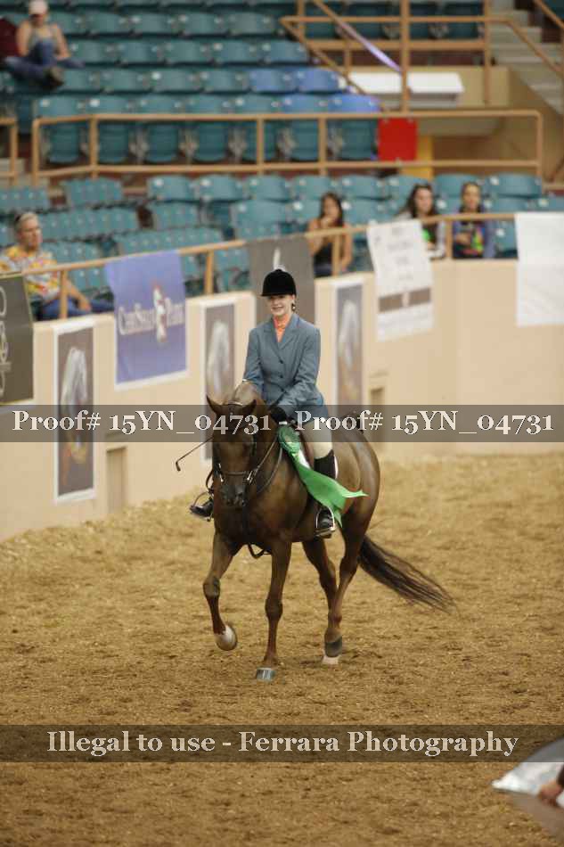 Proof 15YN_04731