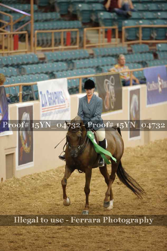 Proof 15YN_04732
