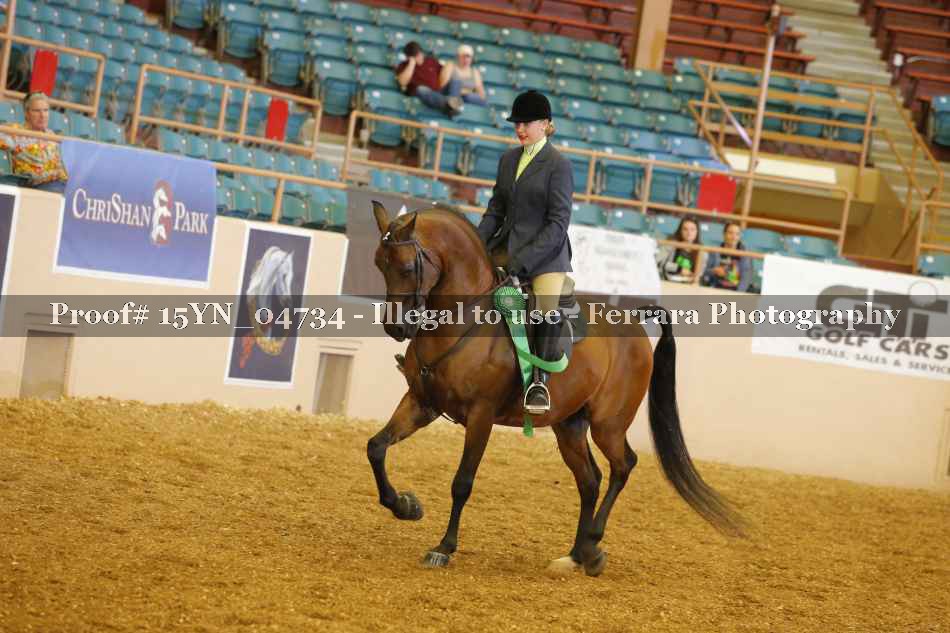 Proof 15YN_04734