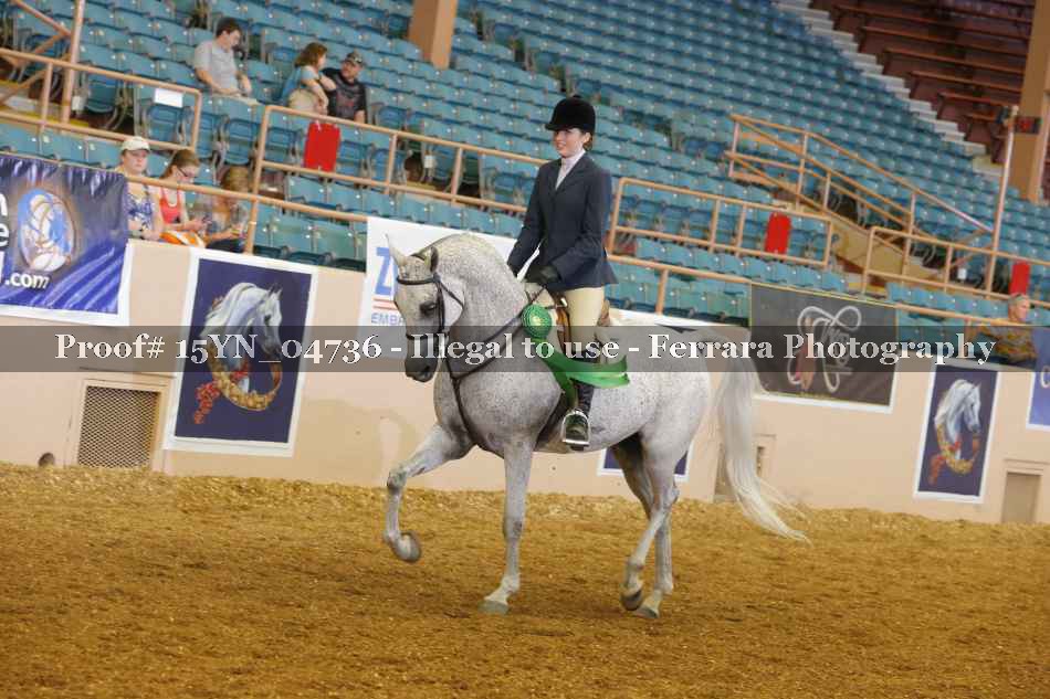 Proof 15YN_04736
