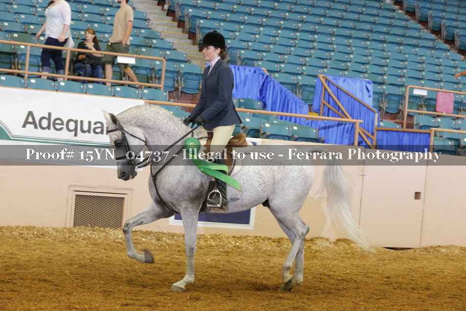 Proof 15YN_04737