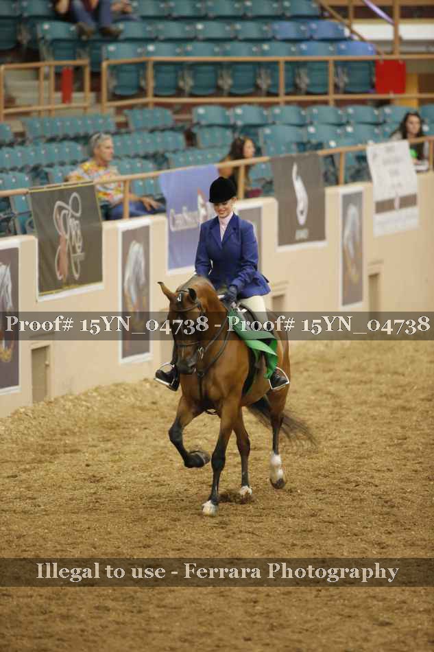 Proof 15YN_04738