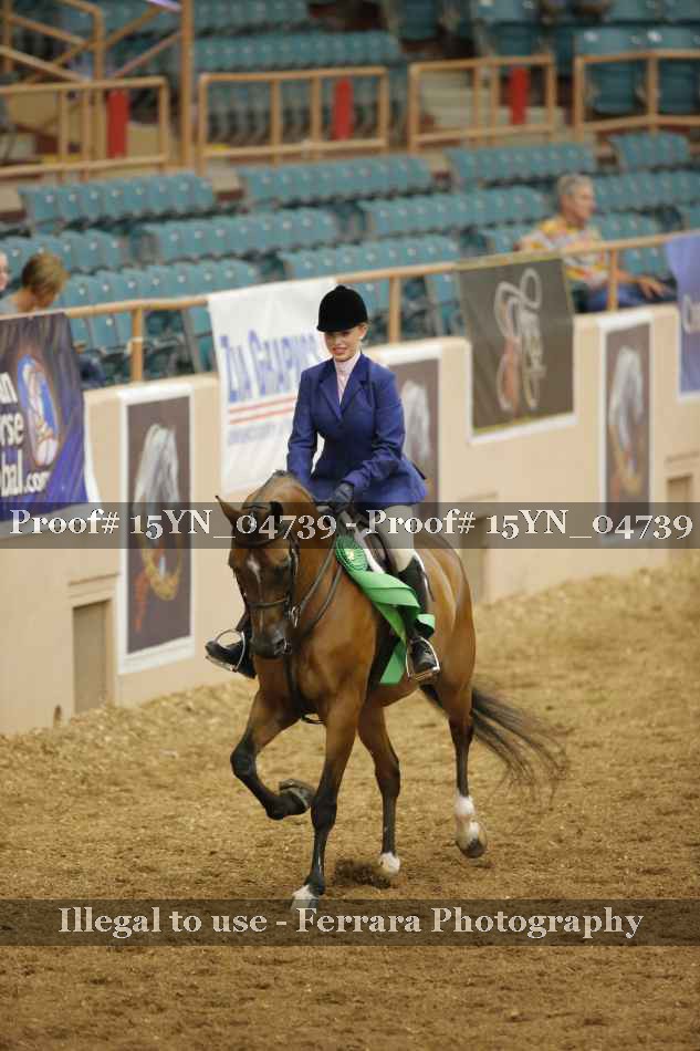 Proof 15YN_04739