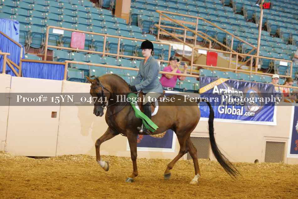 Proof 15YN_04741