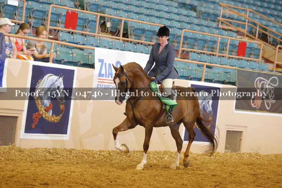 Proof 15YN_04746
