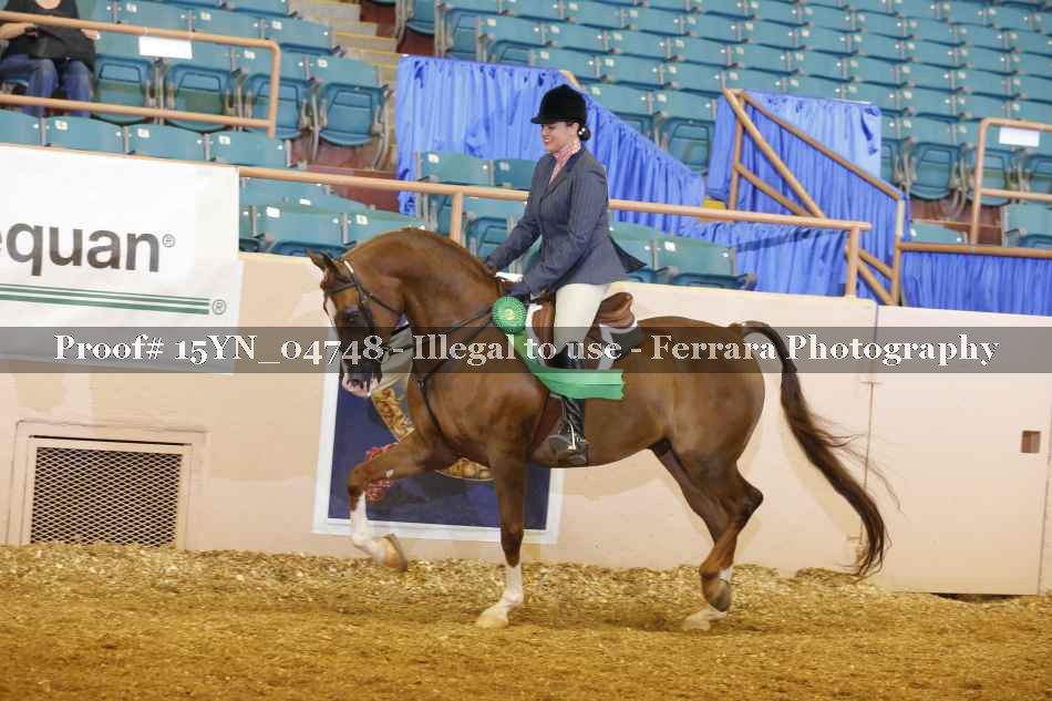 Proof 15YN_04748