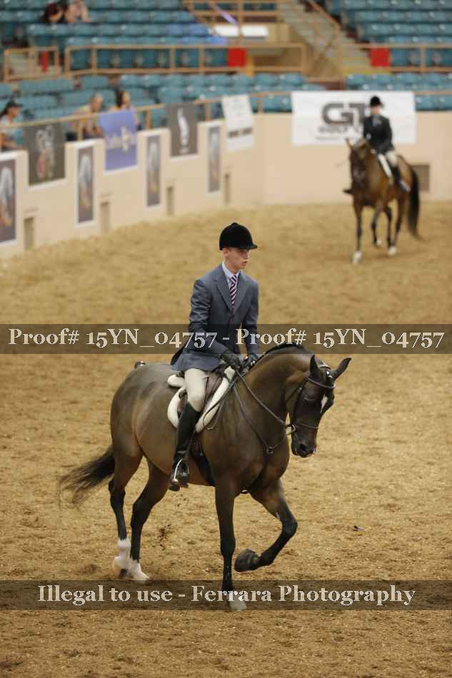 Proof 15YN_04757