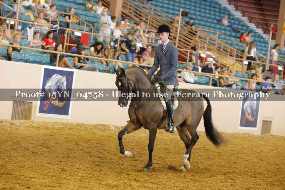 Proof 15YN_04758