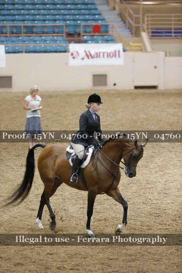 Proof 15YN_04760
