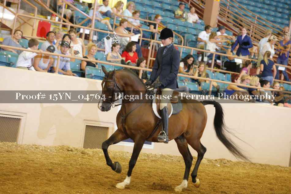 Proof 15YN_04764