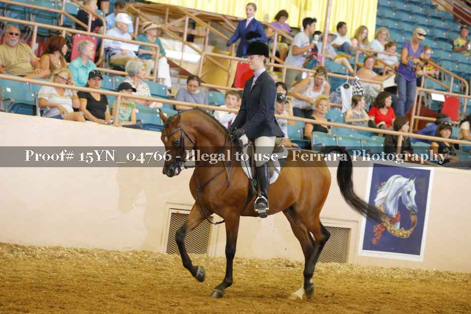 Proof 15YN_04766