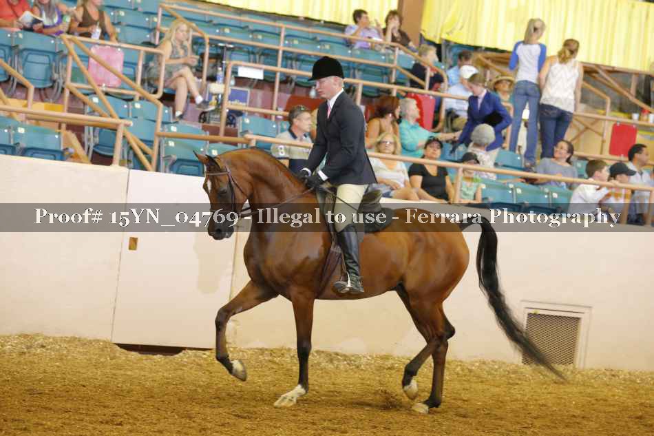 Proof 15YN_04769