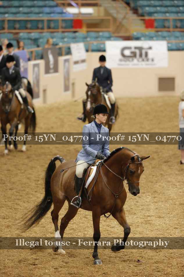 Proof 15YN_04770
