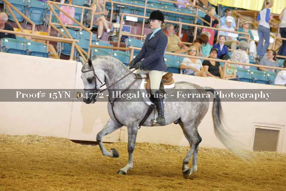 Proof 15YN_04772