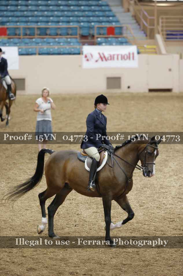 Proof 15YN_04773
