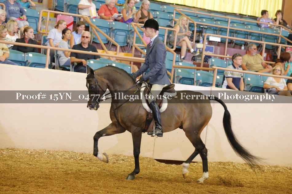 Proof 15YN_04774