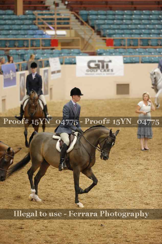 Proof 15YN_04775