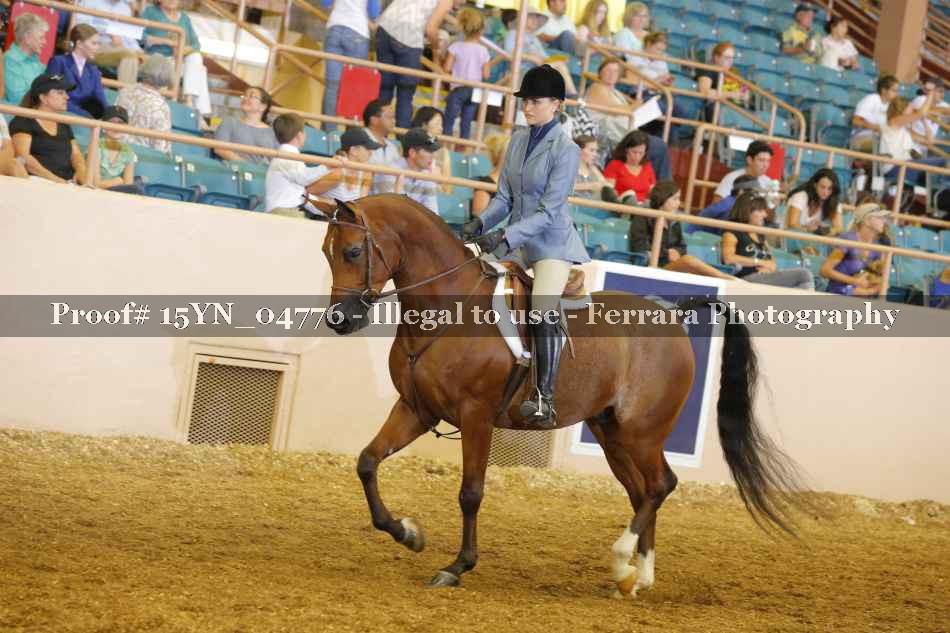 Proof 15YN_04776