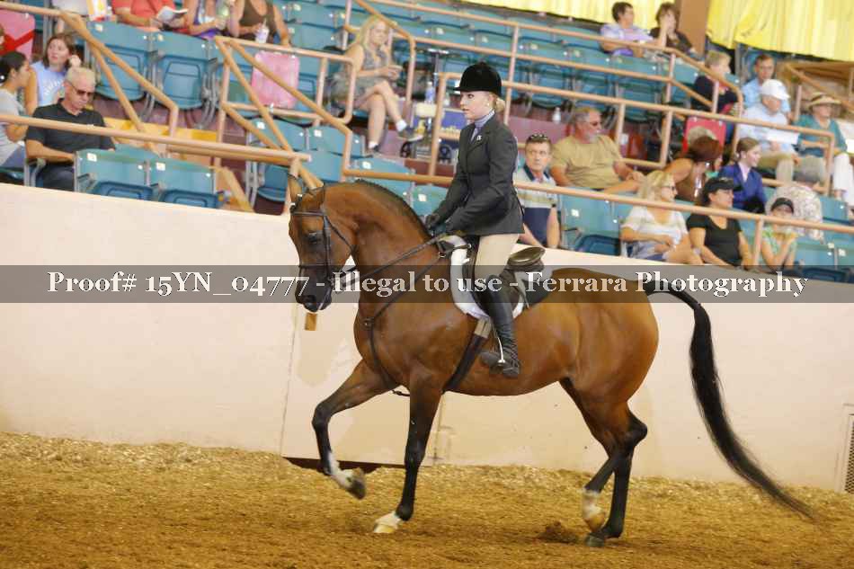 Proof 15YN_04777