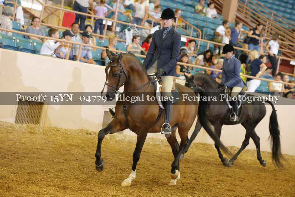 Proof 15YN_04779
