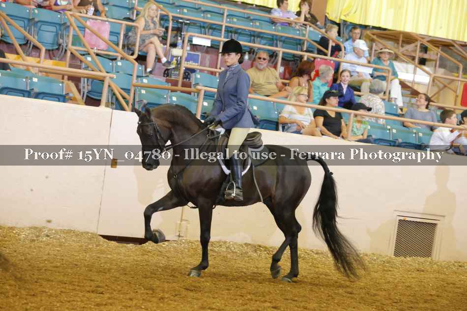 Proof 15YN_04780