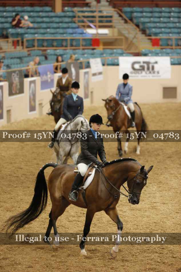 Proof 15YN_04783