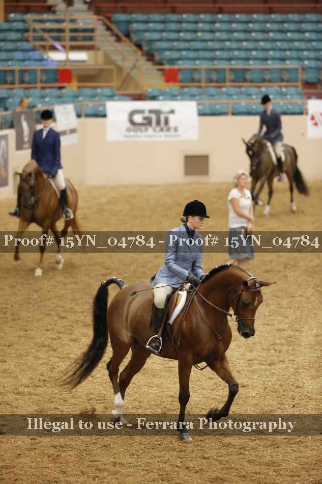 Proof 15YN_04784