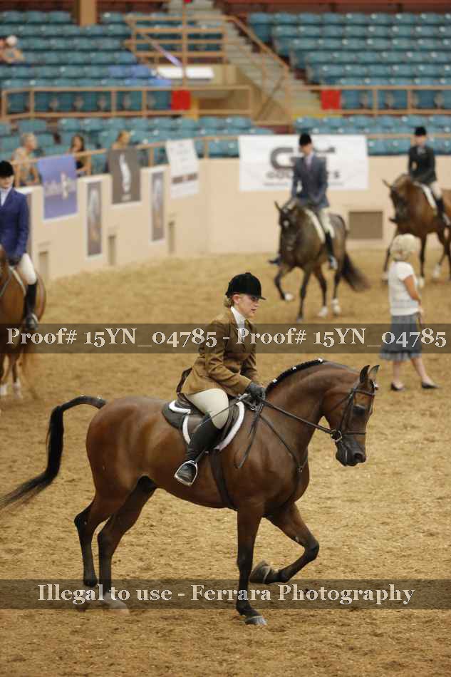 Proof 15YN_04785