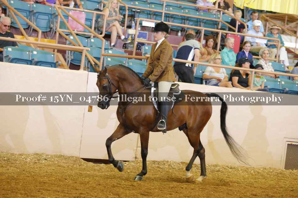 Proof 15YN_04786