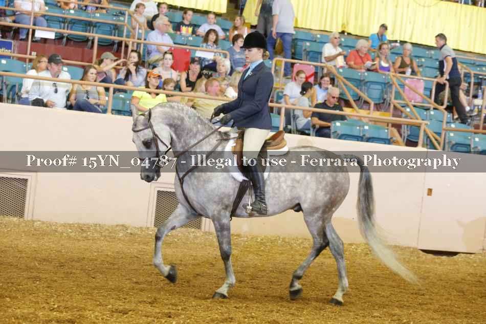 Proof 15YN_04787