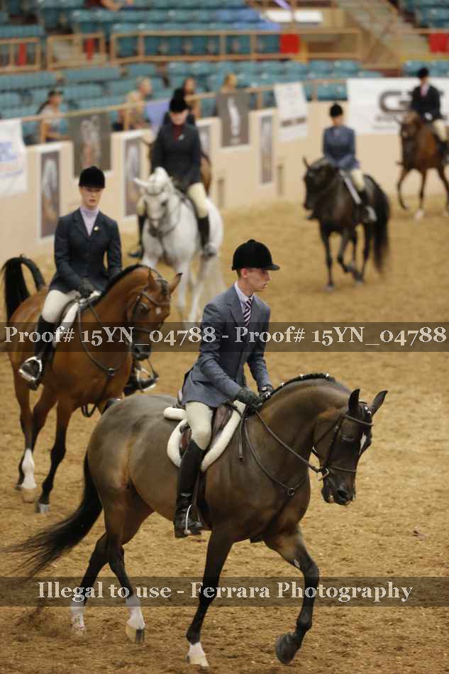 Proof 15YN_04788