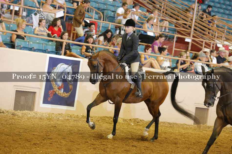 Proof 15YN_04789