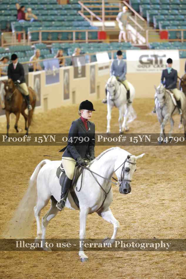 Proof 15YN_04790