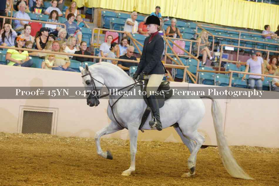 Proof 15YN_04791