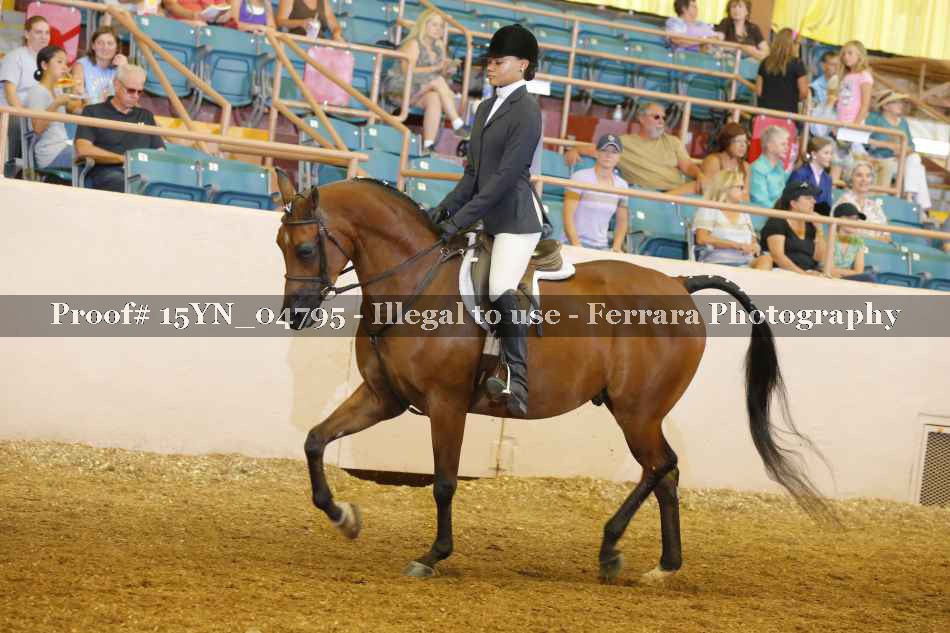 Proof 15YN_04795