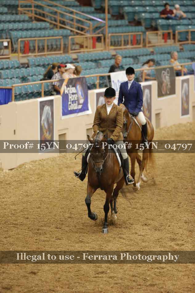 Proof 15YN_04797