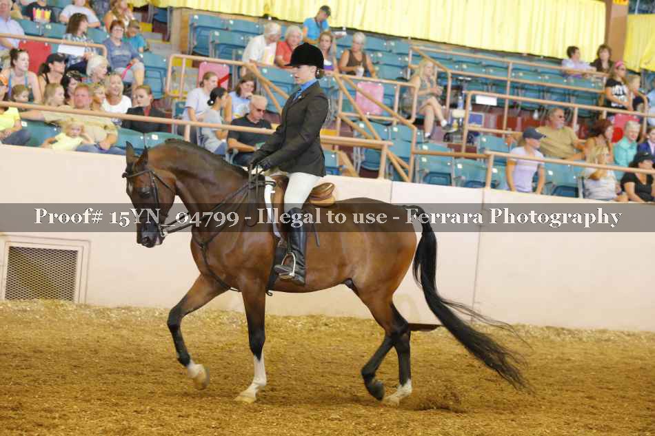 Proof 15YN_04799